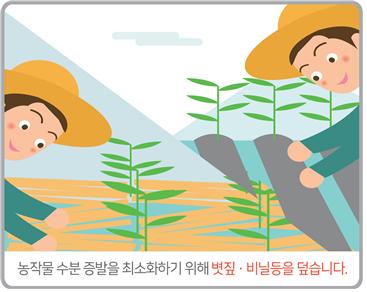 농촌에서는2