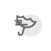 태풍