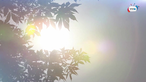 movie-thum